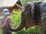 Image source: Boon Lott Elephant Sanctuary
